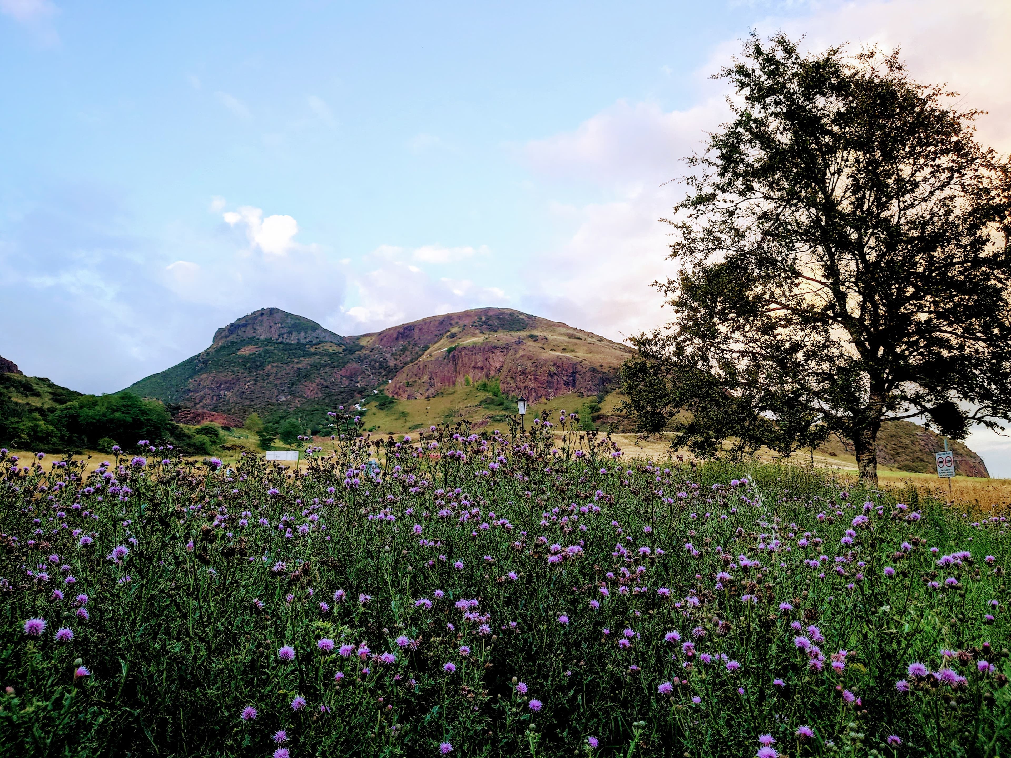 View towards Arthur's Seat and Holyrood Park across Edinburgh