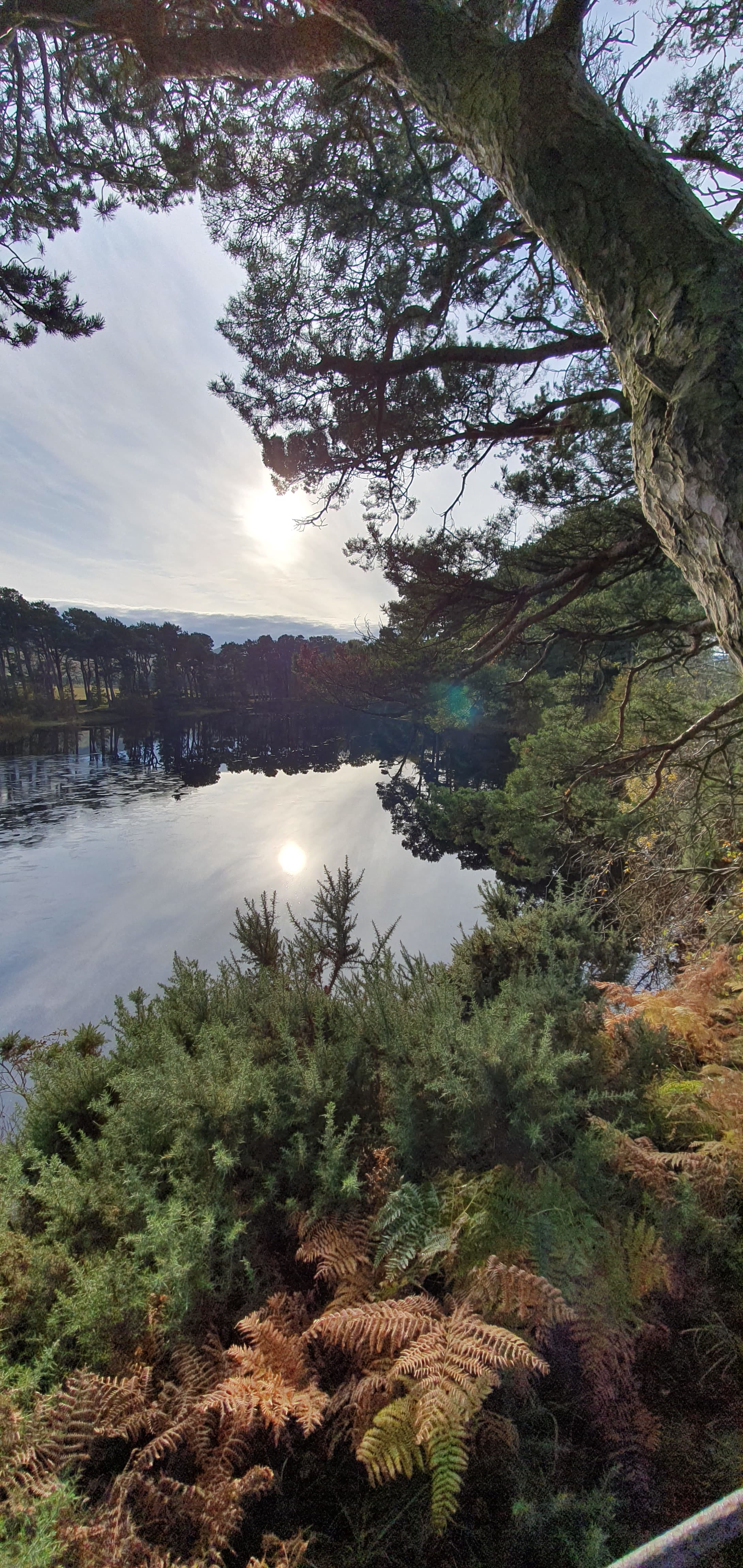 Pentland Hills reservoirs and open hill paths near Edinburgh.