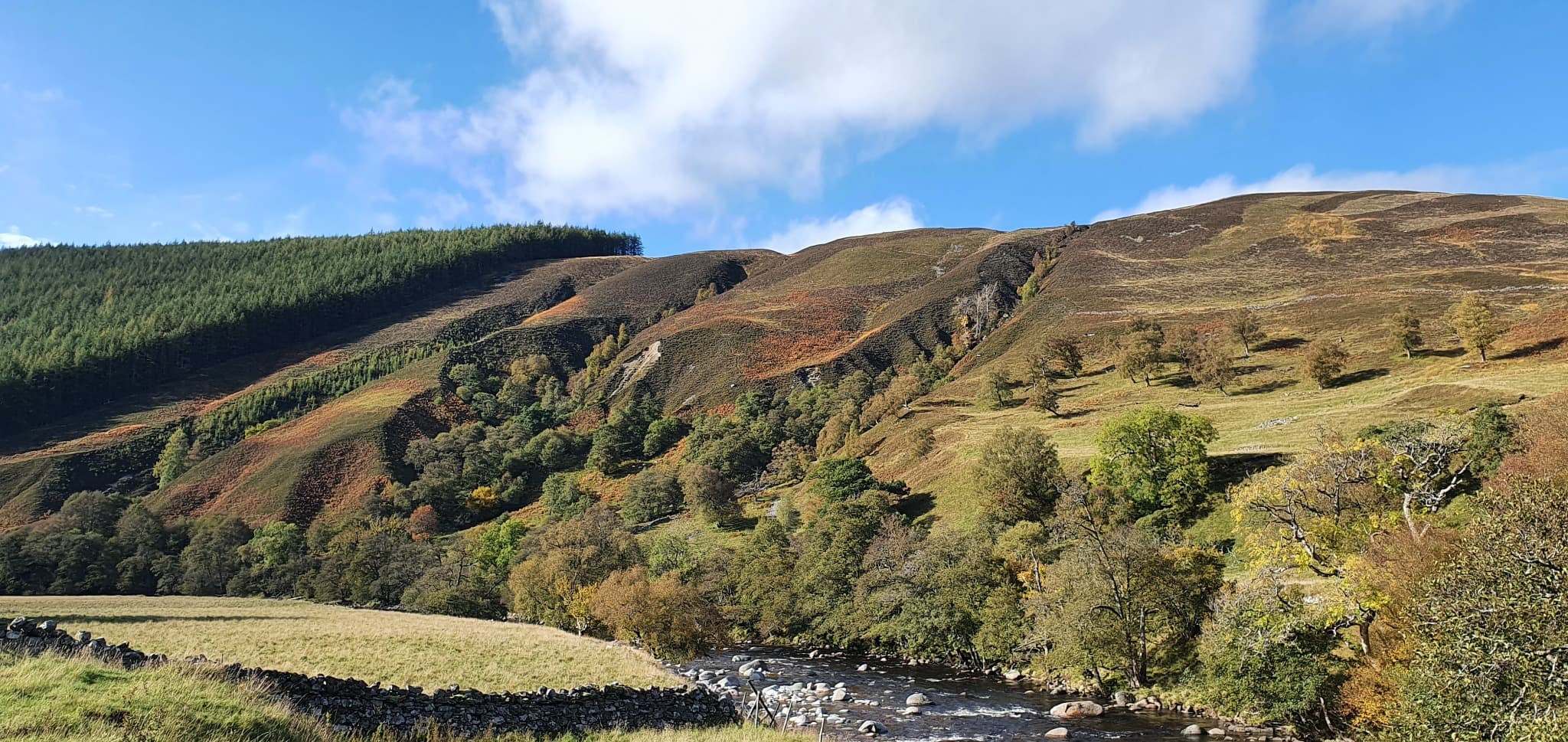 Autumn trees and hillside colours in Glen Tilt.