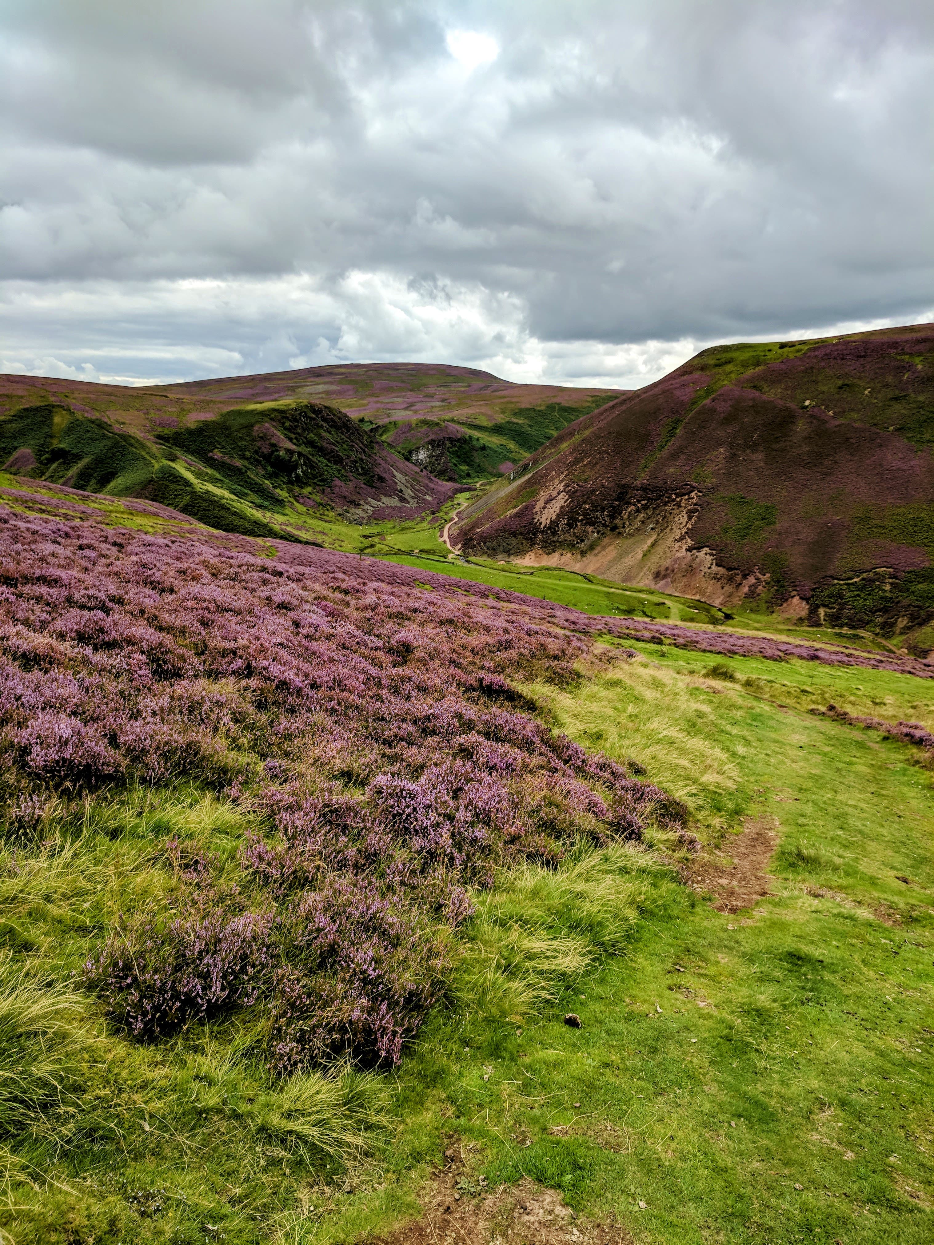 Small Glen view across the Pentland Hills towards the Firth of Forth